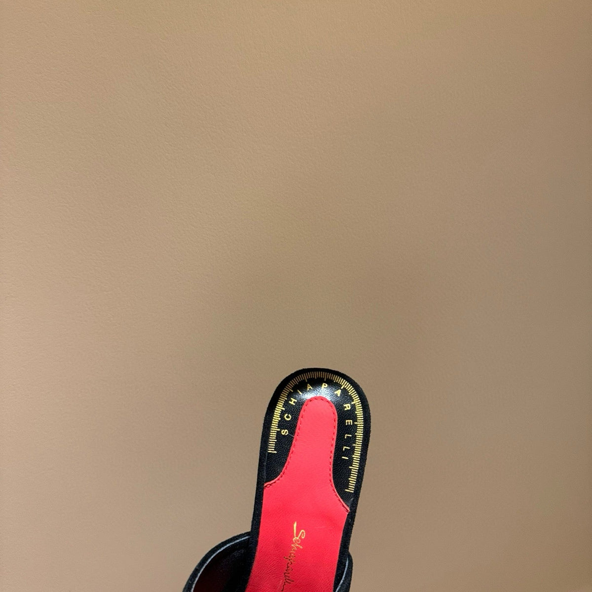 SCHIAPARELLI HEELS