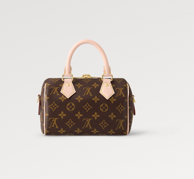 Ava’s Mode Speedy 20 Bandouliere Monogram