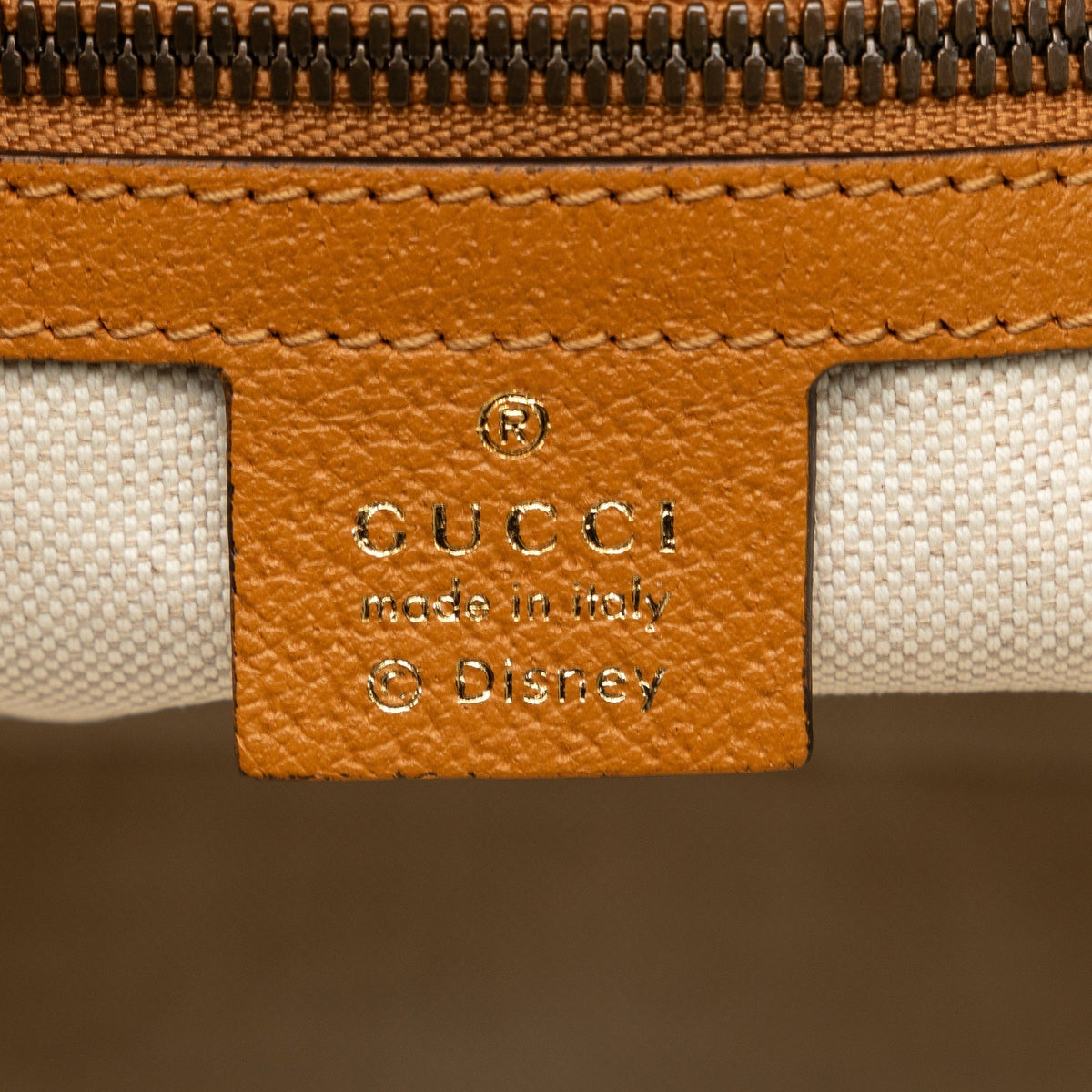 GUCCI Micro GG Mickey Mouse Dome Backpack