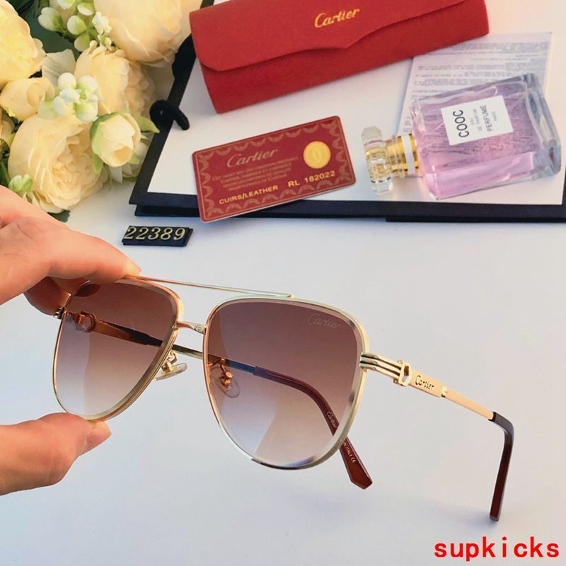 Cartier Luxury Sunglasses