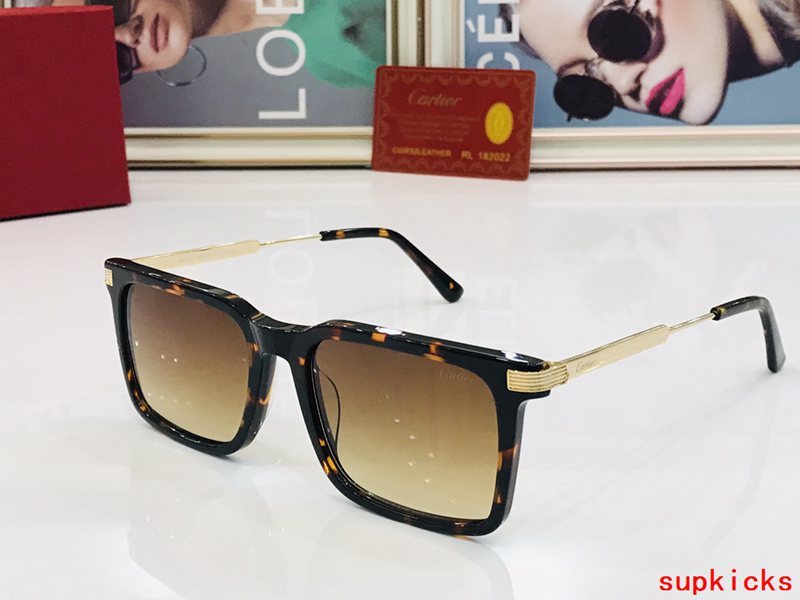 Cartier Luxury Sunglasses