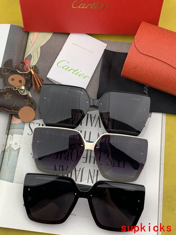 Cartier Luxury Sunglasses