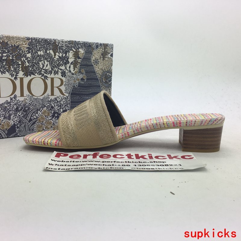 Dior Luxury Shoes