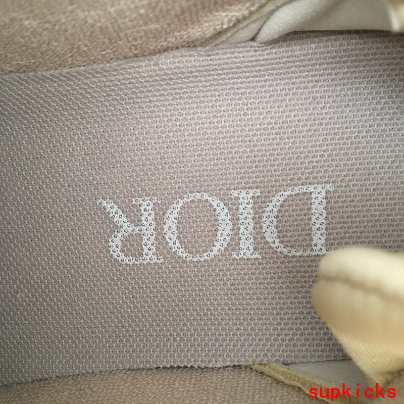 Dior Luxury Shoes