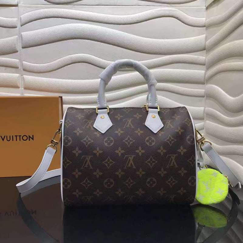 LOV2 Bags - Luxurious Bags  527