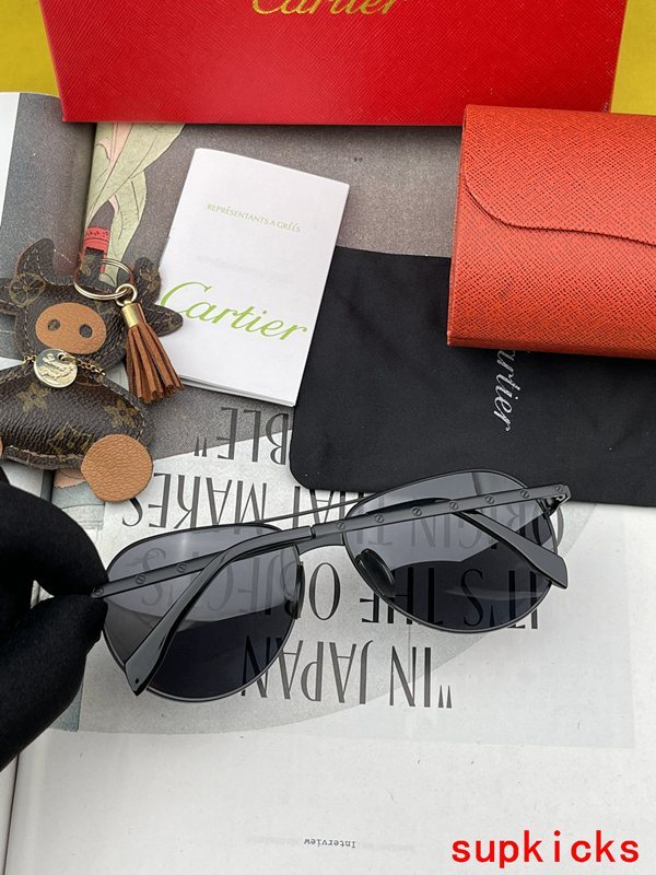 Cartier Luxury Sunglasses