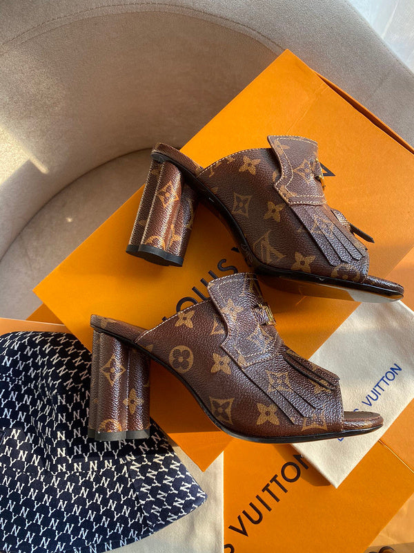Louis Vuittion Luxury Shoes