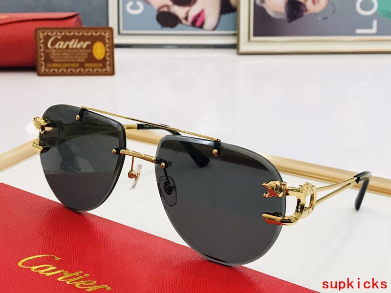 Cartier Luxury Sunglasses