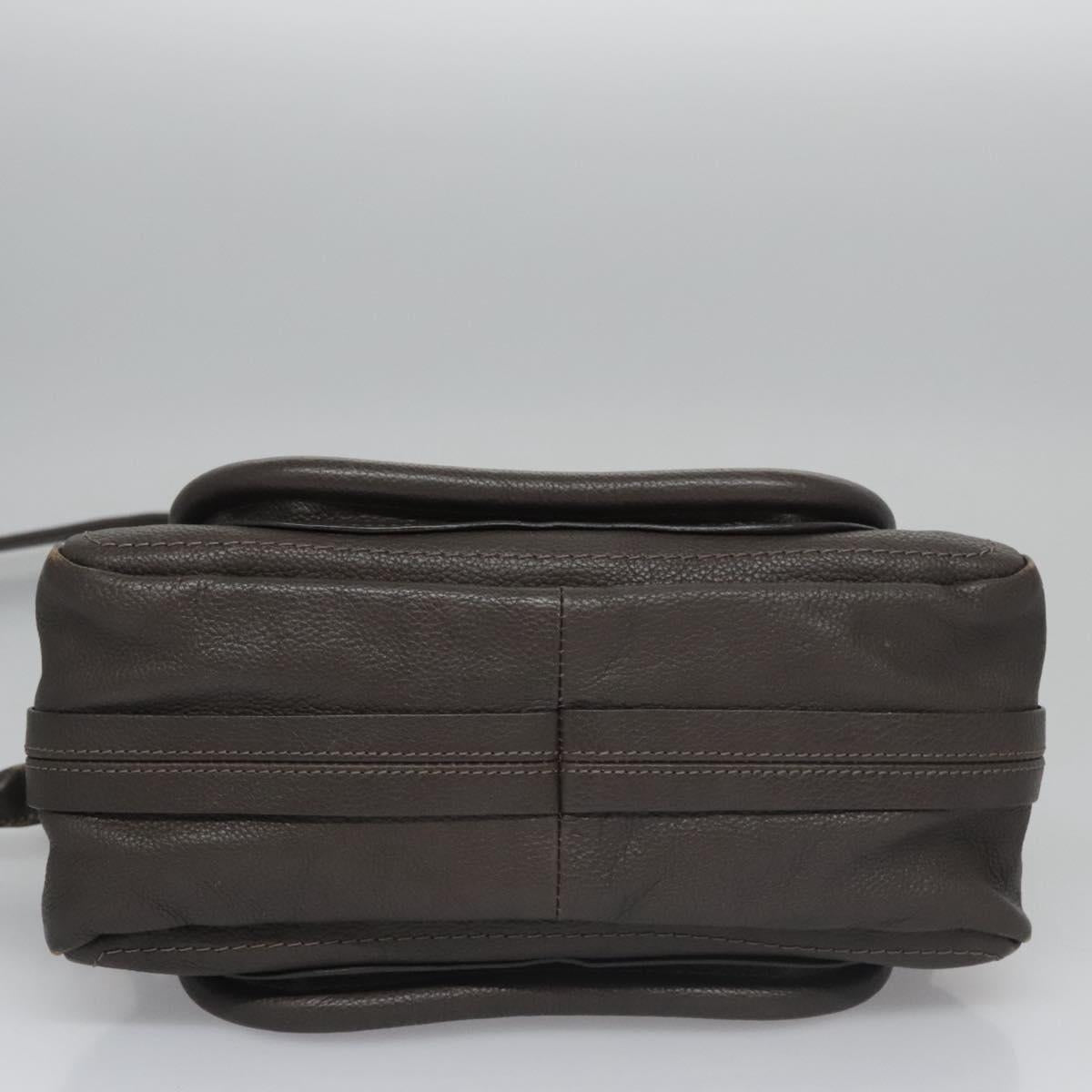 Chloe Paraty Hand Bag Leather 2way Gray am7621