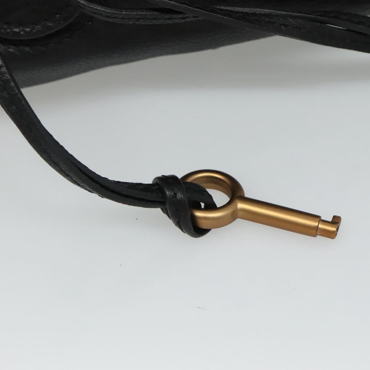 Chloe Paddington mini Hand Bag Leather Black am7623