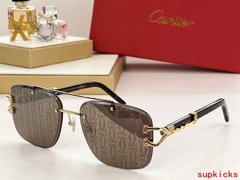 Cartier Luxury Sunglasses