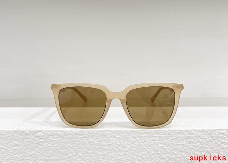 Louis Vuittion Luxury Sunglasses