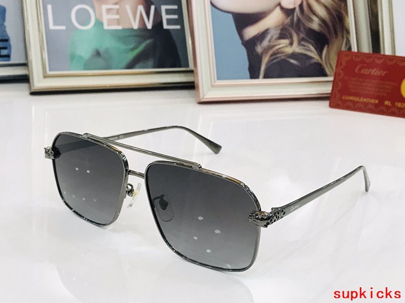 Cartier Luxury Sunglasses