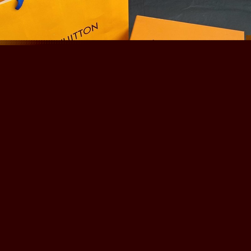 Louis Vuittion Luxury Shoes