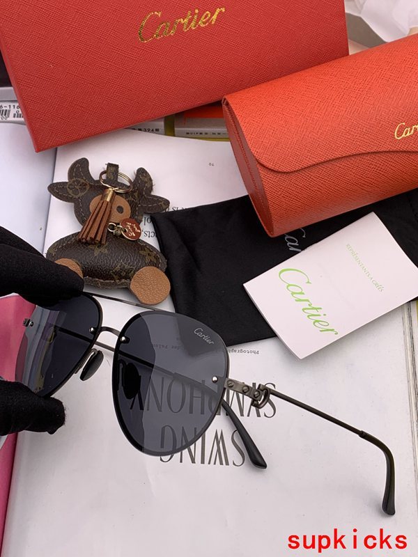 Cartier Luxury Sunglasses