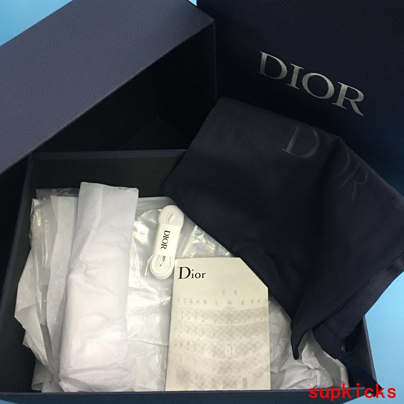 Dior Luxury Shoes