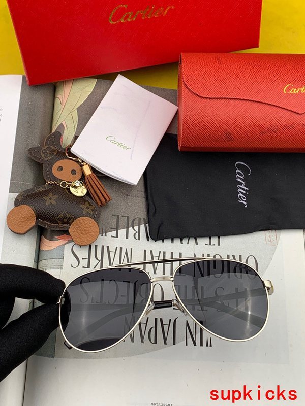 Cartier Luxury Sunglasses