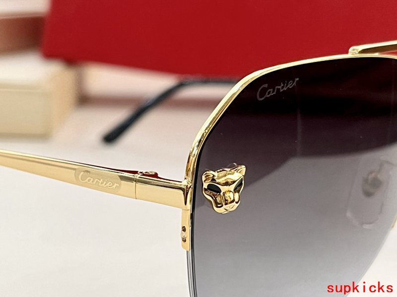 Cartier Luxury Sunglasses