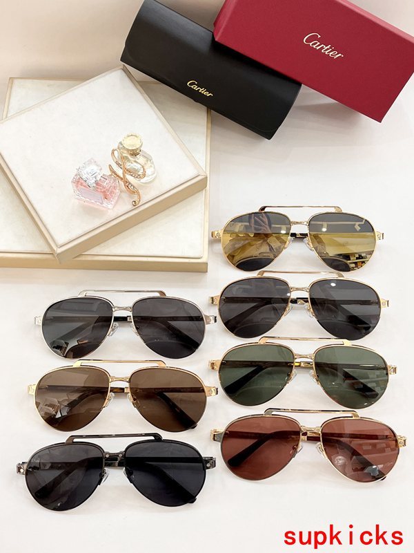 Cartier Luxury Sunglasses