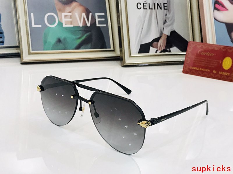 Cartier Luxury Sunglasses