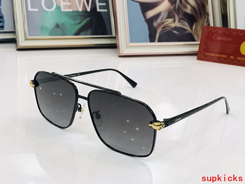 Cartier Luxury Sunglasses