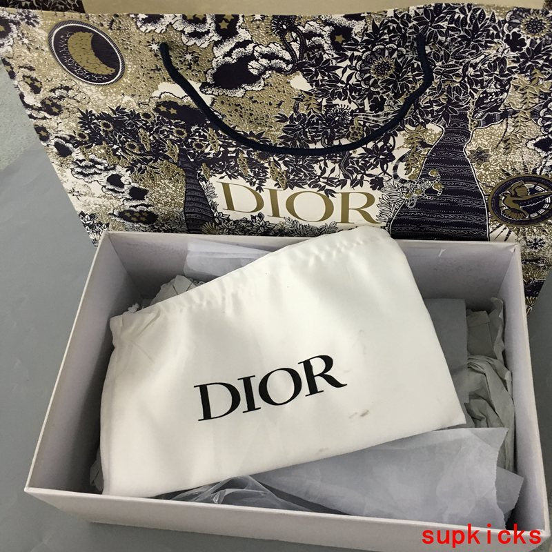 Dior Luxury Shoes