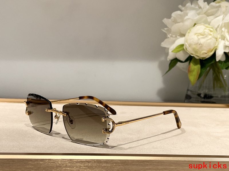 Cartier Luxury Sunglasses