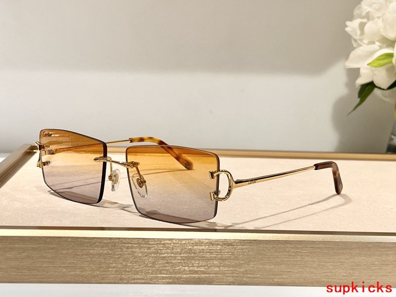Cartier Luxury Sunglasses