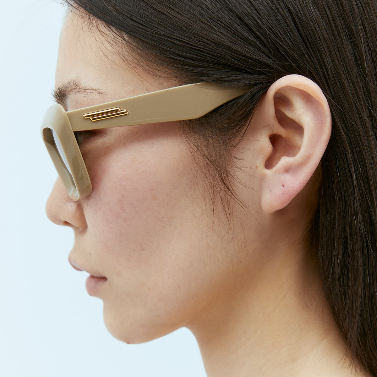 Bottega Veneta Women Classic Cat Eye Sunglasses