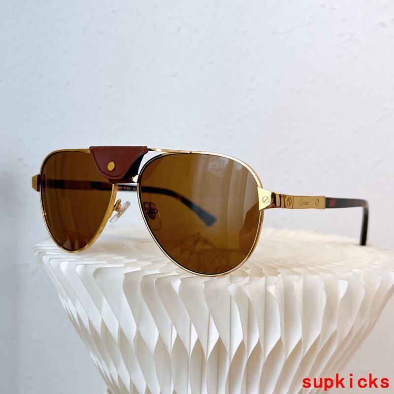 Cartier Luxury Sunglasses