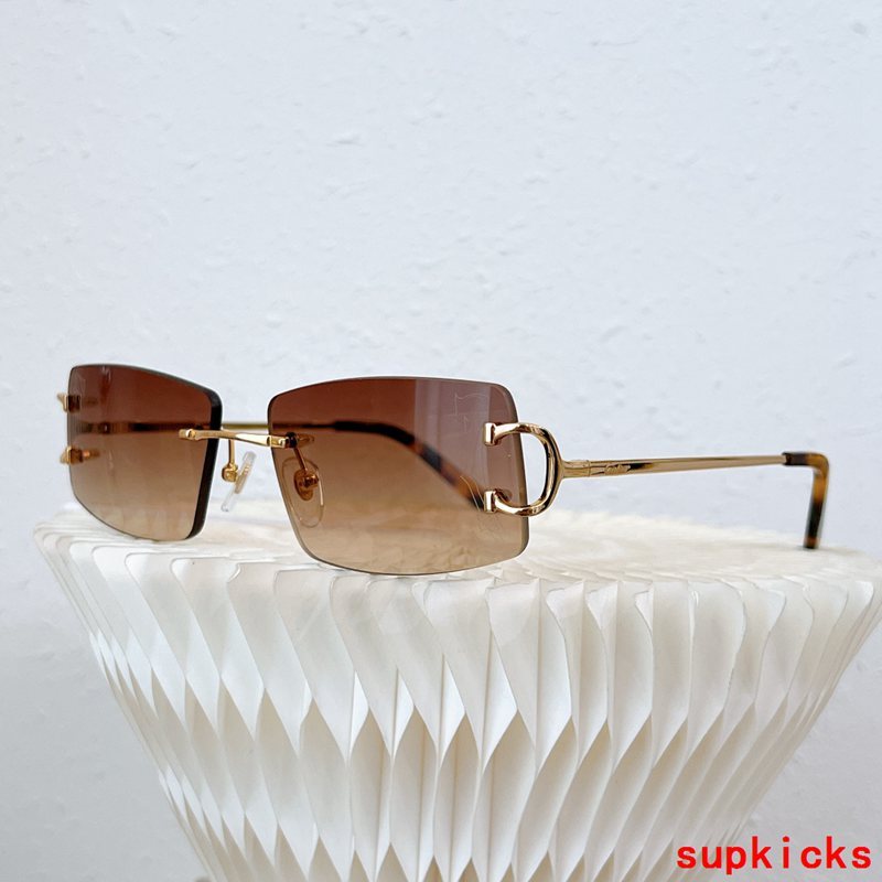 Cartier Luxury Sunglasses