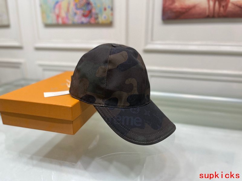 Louis Vuitton Luxury Cap