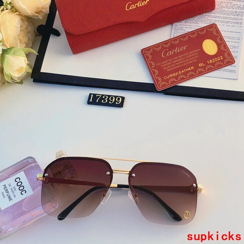 Cartier Luxury Sunglasses