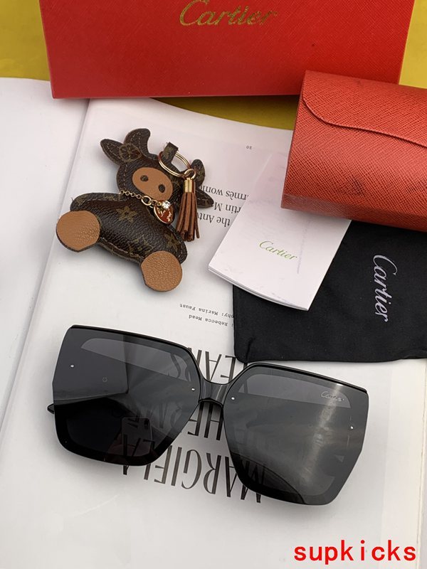 Cartier Luxury Sunglasses