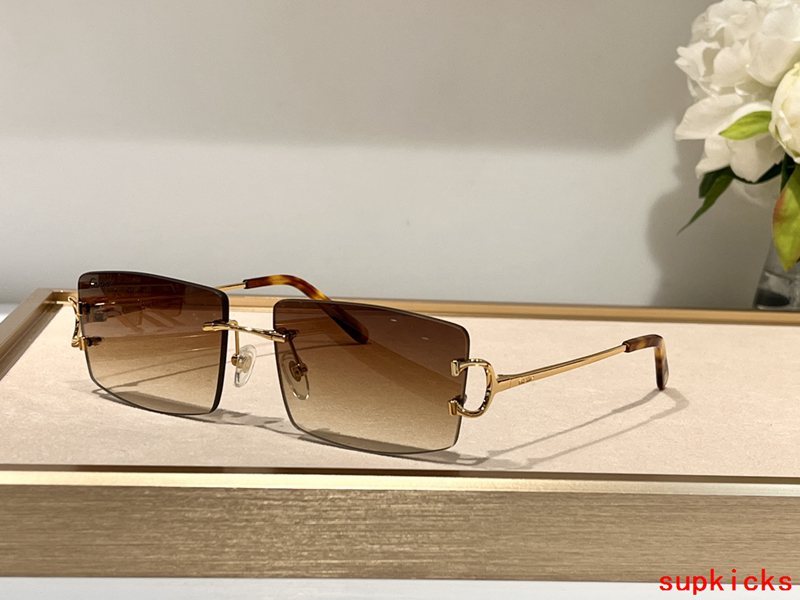 Cartier Luxury Sunglasses