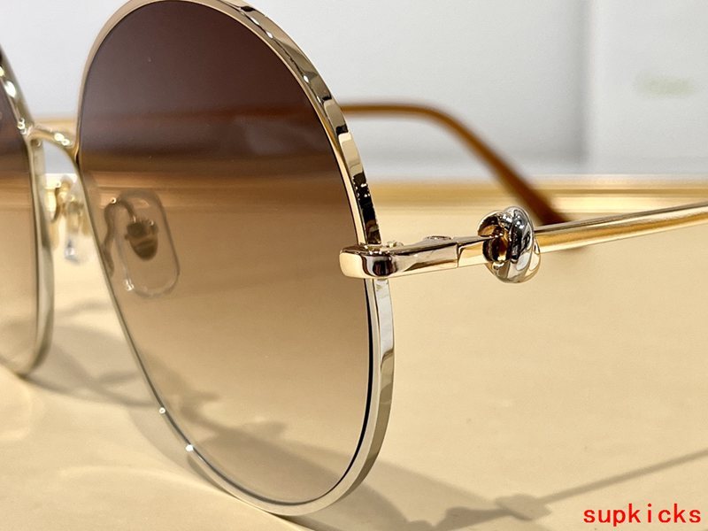 Cartier Luxury Sunglasses