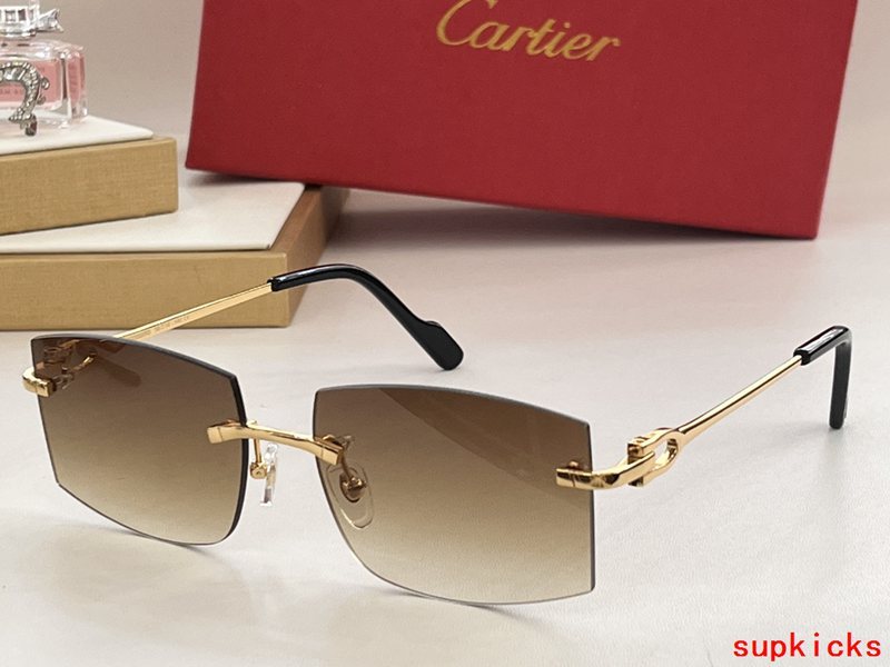Cartier Luxury Sunglasses