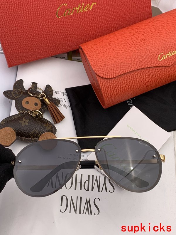 Cartier Luxury Sunglasses