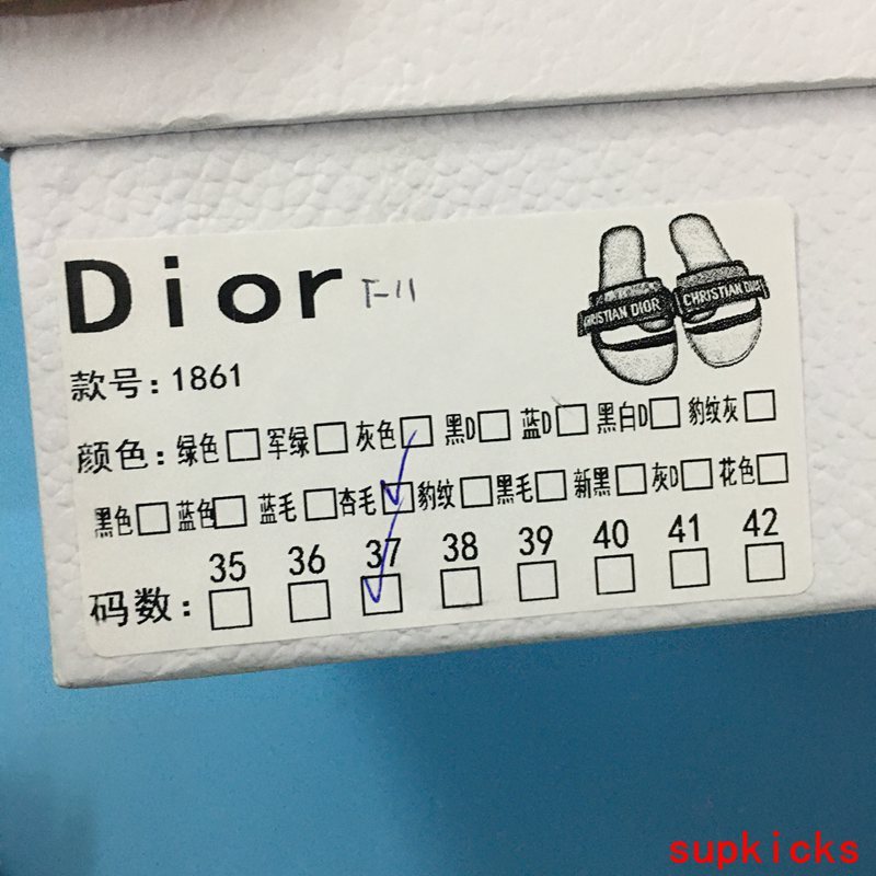 Dior Luxury Shoes
