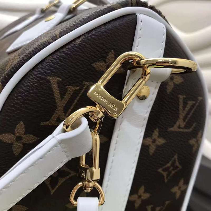 LOV2 Bags - Luxurious Bags  527