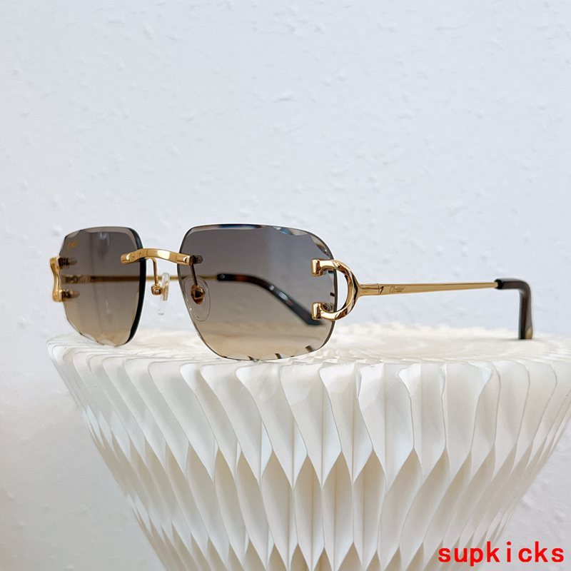 Cartier Luxury Sunglasses