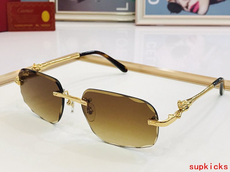 Cartier Luxury Sunglasses