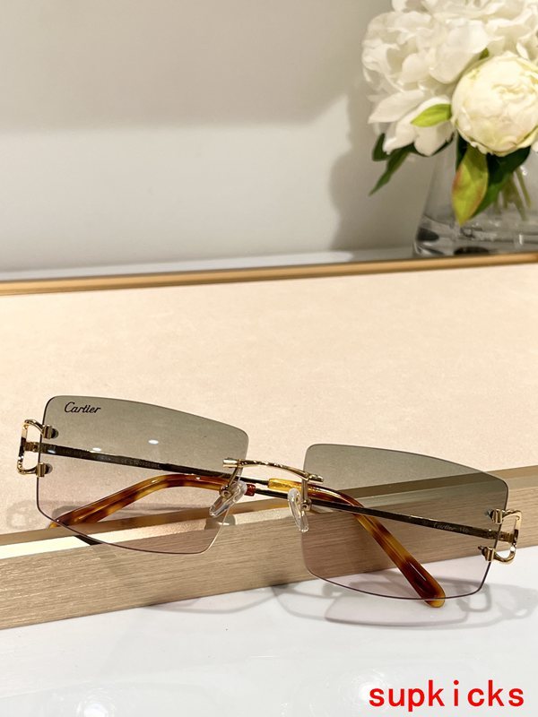Cartier Luxury Sunglasses