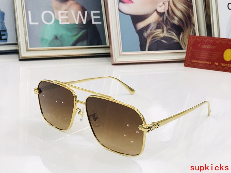 Cartier Luxury Sunglasses