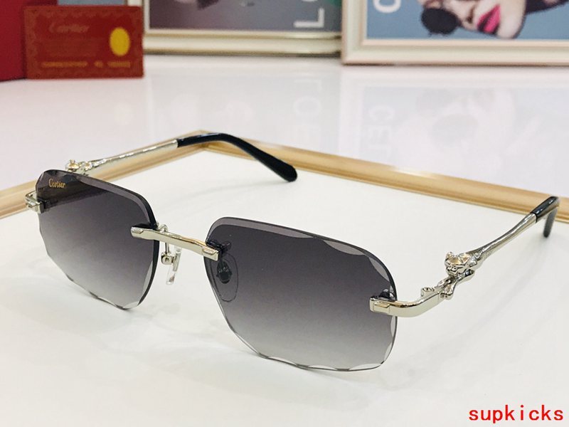 Cartier Luxury Sunglasses
