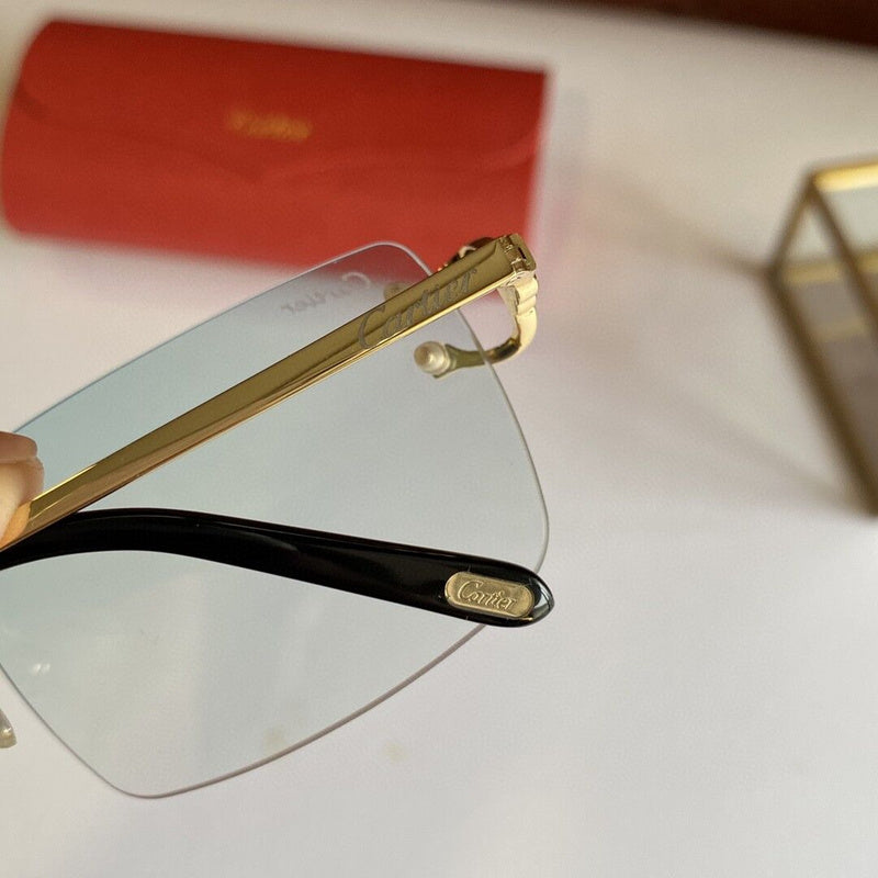 Cartier Luxury Sunglasses