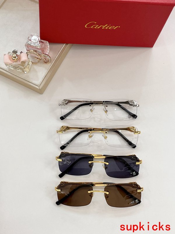 Cartier Luxury Sunglasses
