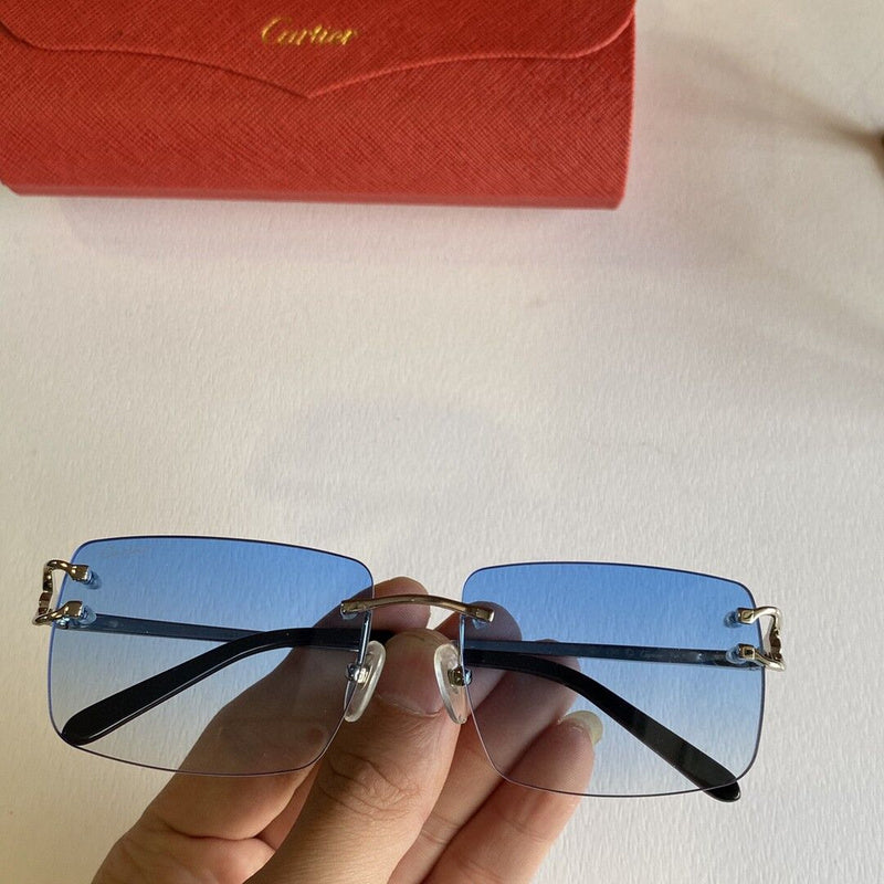 Cartier Luxury Sunglasses