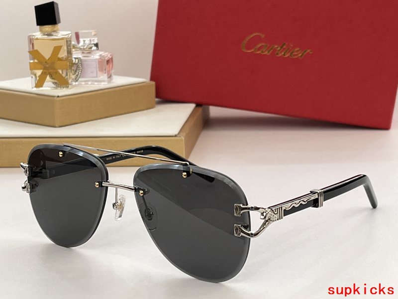Cartier Luxury Sunglasses