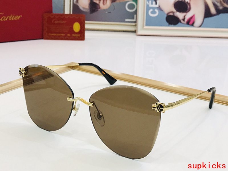 Cartier Luxury Sunglasses